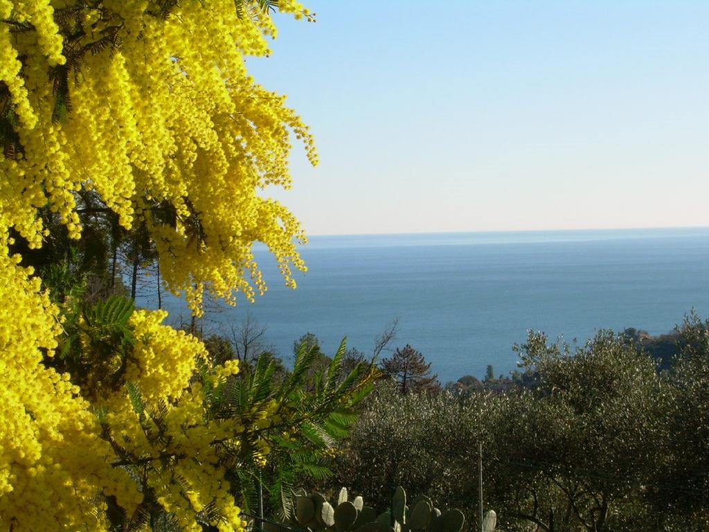 Ariabuona Appartement Moneglia Buitenkant foto