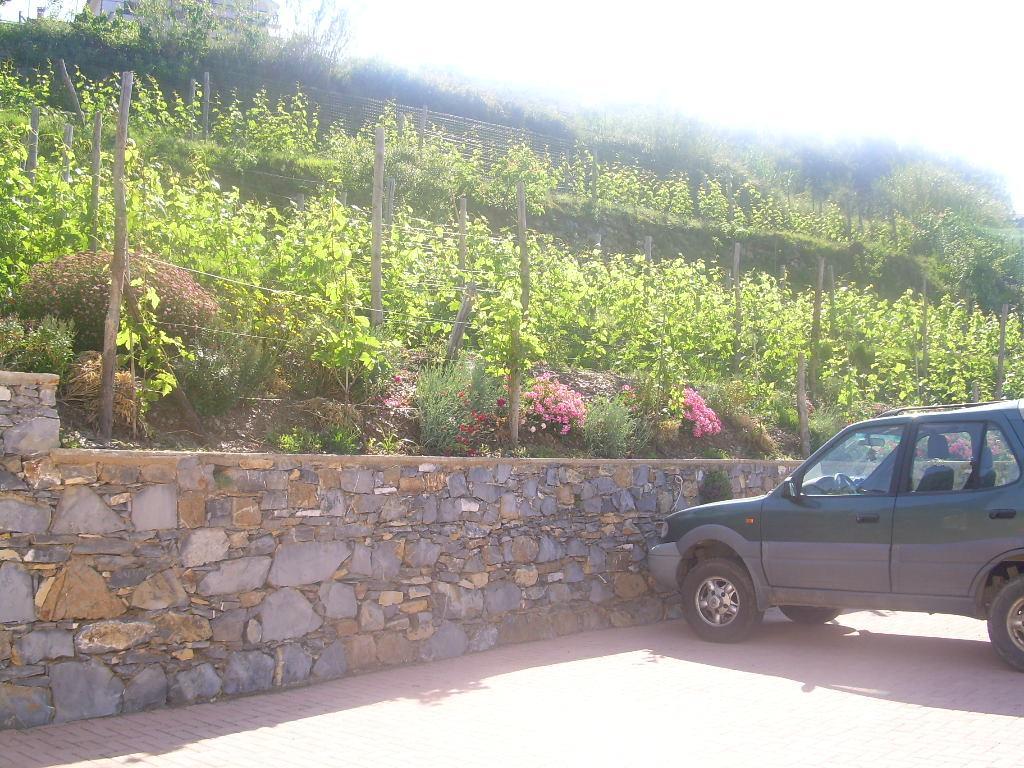 Ariabuona Appartement Moneglia Buitenkant foto