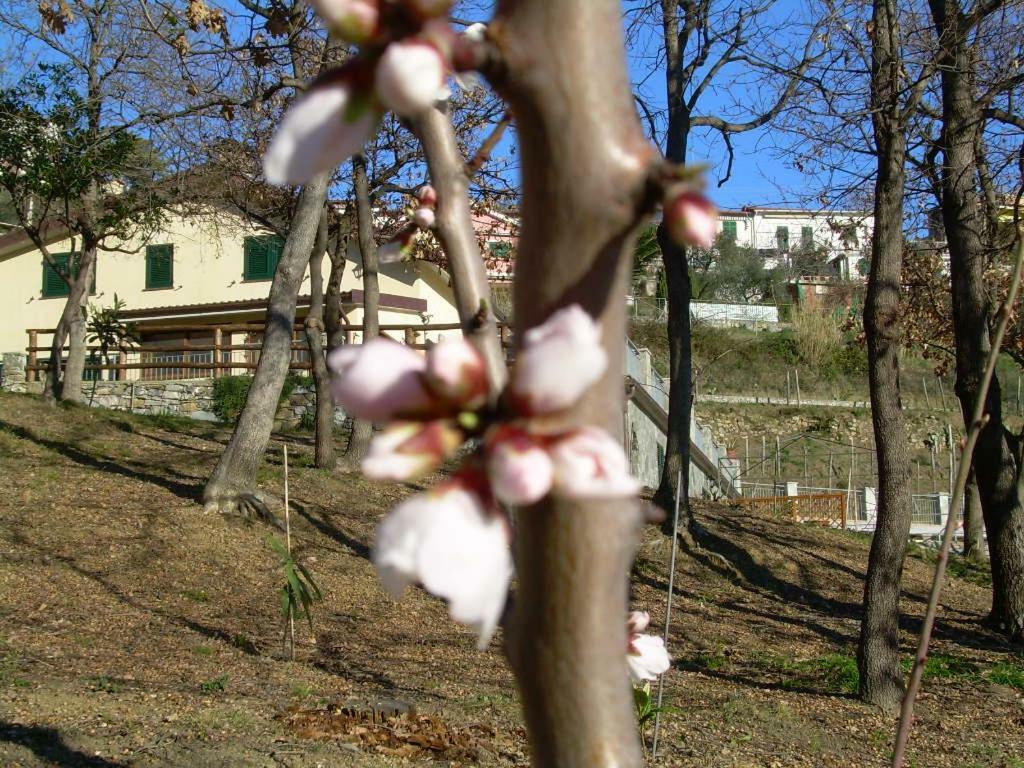 Ariabuona Appartement Moneglia Buitenkant foto