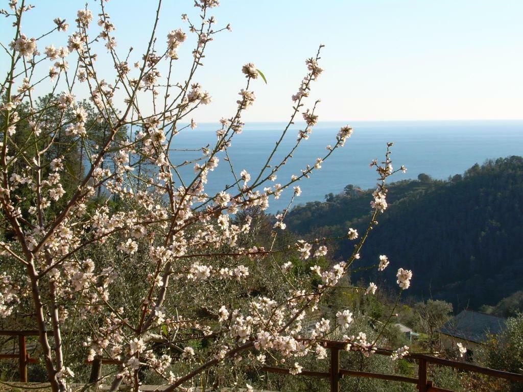 Ariabuona Appartement Moneglia Buitenkant foto