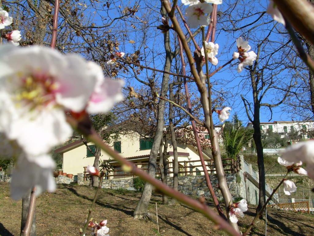 Ariabuona Appartement Moneglia Buitenkant foto