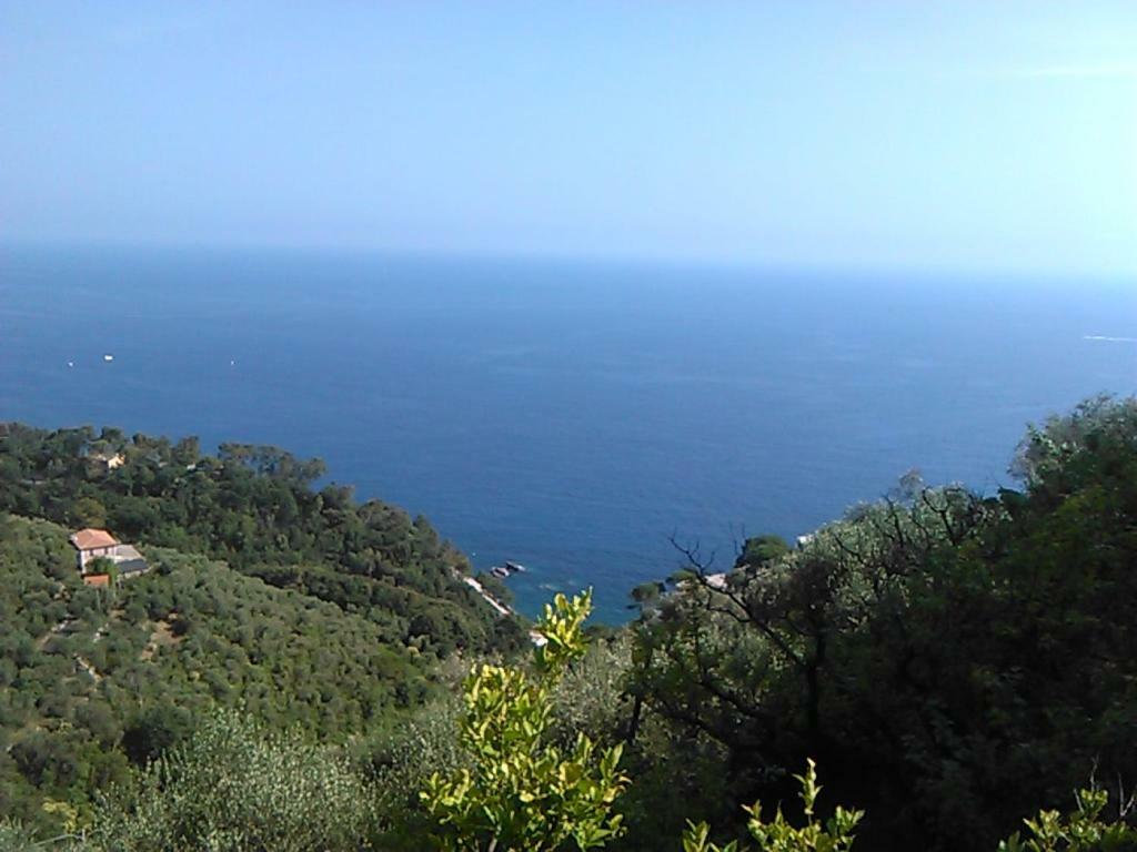 Ariabuona Appartement Moneglia Buitenkant foto